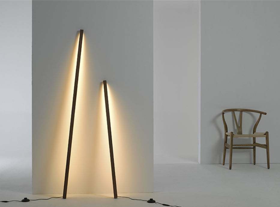 Minimalist Floor Lamp