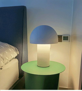 Mushroom Table Lamp