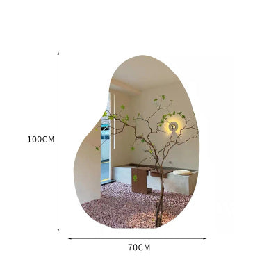 Egg Shape Cut out Mirror