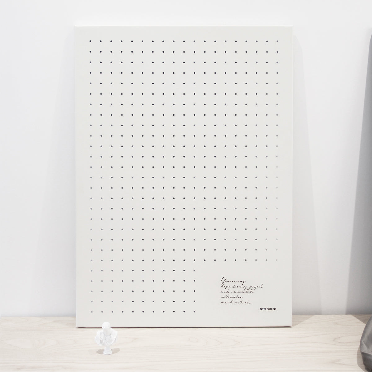 Botro Metal Perforated board with Accessories